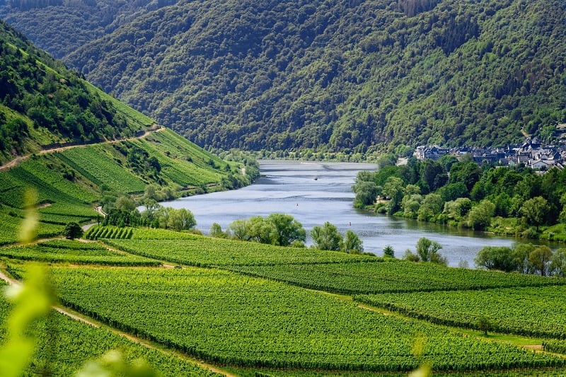 Black Forest, Germany